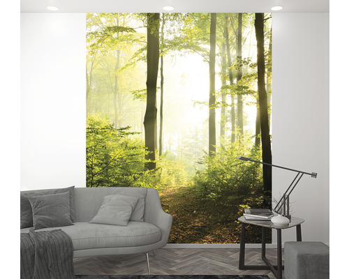 Woonkamer met fotobehang dat een bospad toont