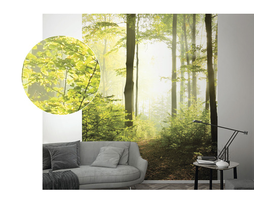 Wanddecoratie met bosmotief, getoond in een woonkamer boven een bank