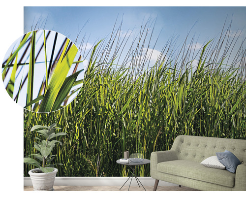 Fotobehang met gras motief in een woonkamer