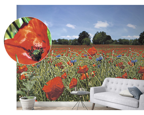 Woonkamer met behang met een klaprozenveld