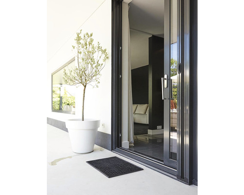 Scene met terrasdeur, plant in pot en deurmat.