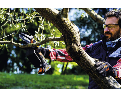 Man zaagt tak met een accukettingzaag