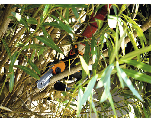 Bediening van een accukettingzaag om takken in een boom te snoeien