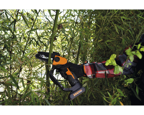 Accukettingzaag bij het snoeien van bamboe