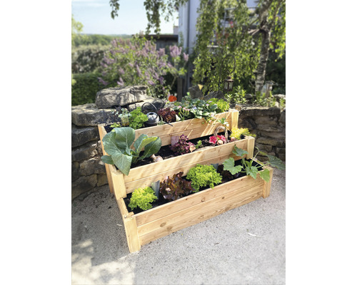 Houten plantenbak met drie niveaus en verschillende groenten in de tuin.