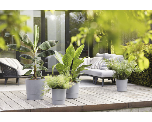 Diverse planten in plantenbakken op een houten terras met tuinmeubelen