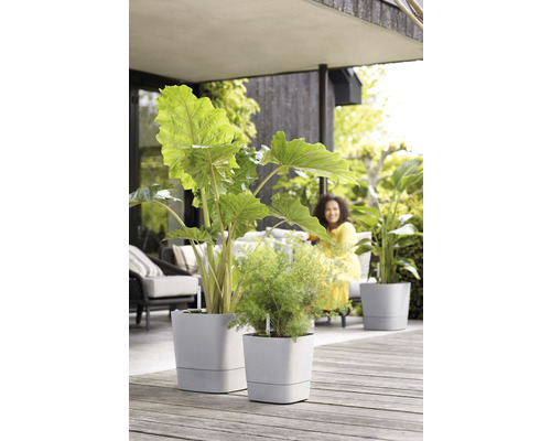 Twee grijze plantenbakken met planten op een houten terras