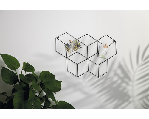 Decoratieve wanddecoratie met foto''s en planten