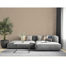 Woonkamer met grijze bank, salontafel, vloerkleed en kamerplant