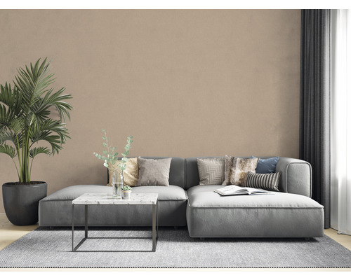 Woonkamer met grijze bank, salontafel, vloerkleed en kamerplant