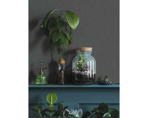 Decoratieve planten in glazen potten op een plank