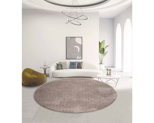 Woonkamer met rond tapijt, bank en decoratie