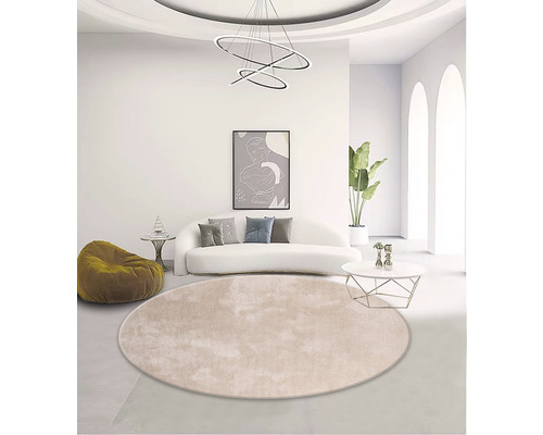 Lichte woonkamer met rond vloerkleed, bank, lamp en decoratie