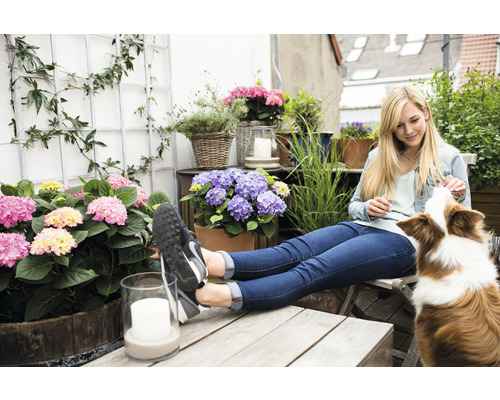 Gedecoreerd balkon met hortensia''s en een vrouw die interactie heeft met een hond