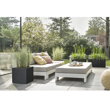 Terrasscène met tuinmeubelen, planten in plantenbakken en decoratieve kussens