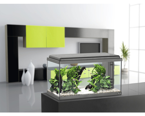 Ingericht aquarium met vissen en planten op een onderkast