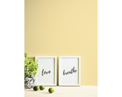 Decoratieve scène met twee ingelijste kunstprints, potplant en limoenen tegen een gekleurde muur