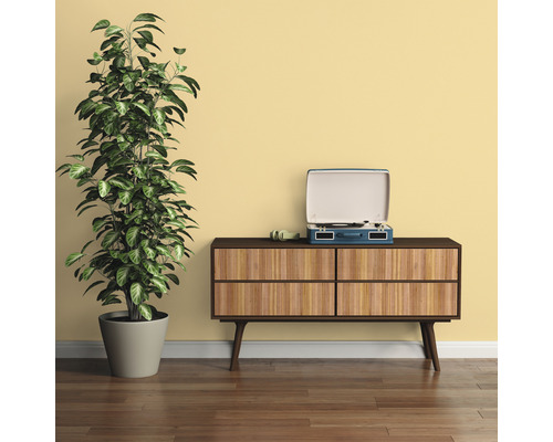 Woonkamer scène met dressoir, kamerplant en platenspeler