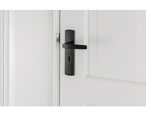 Zwart deurbeslag met handgreep op witte deur