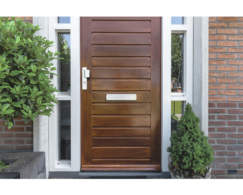 Moderne houten voordeur met brievenbus en zijpanelen