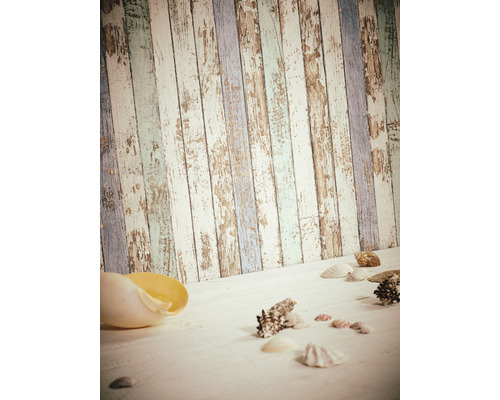 Decoratieve schelpen op houten achtergrond