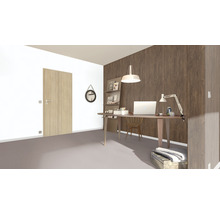 Lichte studeerkamer met bureau, stoel, plank en deur