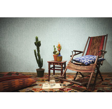 Woonkamer met fauteuil, vloerkleed, kussens, tafel en cactussen