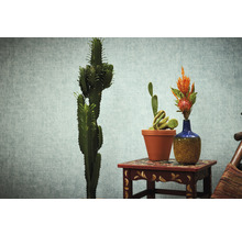 Decoratieve cactussen in potten en bloemen in een vaas op een klein tafeltje