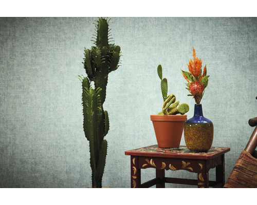 Decoratieve cactussen in potten en bloemen in een vaas op een klein tafeltje