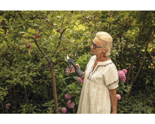 Vrouw snoeit boom met accutuinbroek in de tuin
