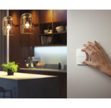 PHILIPS Hue Tap dial switch wit-thumb-6
