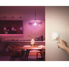 PHILIPS Hue Tap dial switch wit-thumb-7