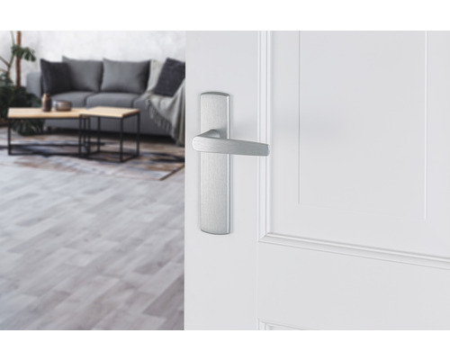 Witte binnendeur met metalen deurklink