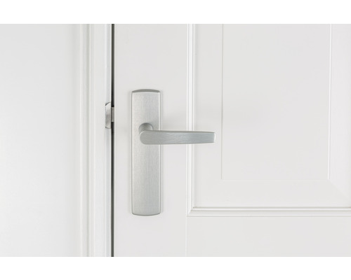 Binnendeur met deurkruk