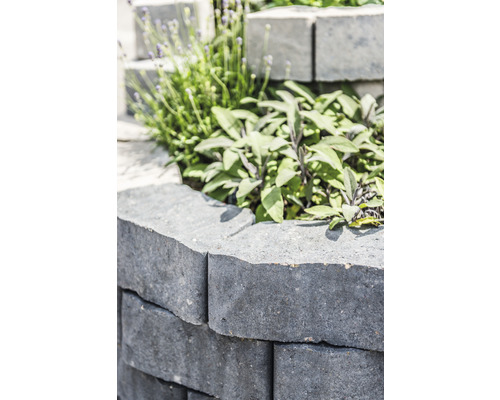 Detailopname van een tuinmuur gemaakt van grijze betonstenen met planten