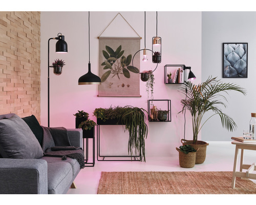 Woonkamer met bank, kamerplanten, hanglampen en wanddecoratie