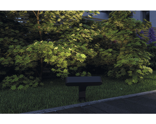 Tuin met bomen en buitenlamp