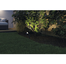 Verlichte tuin met gazon, struik en buitenlamp
