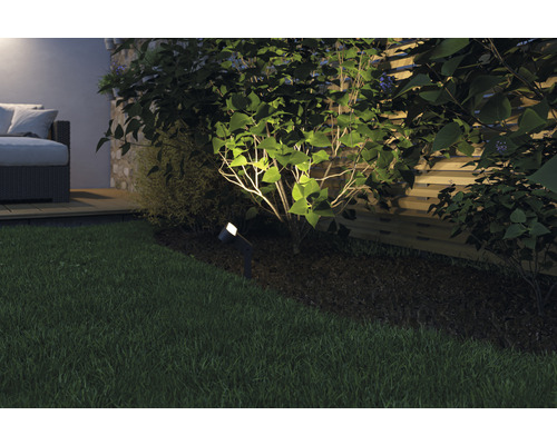 Verlichte tuin met gazon, struik en buitenlamp