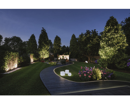 Verlicht tuinpad met planten en bomen in de schemering