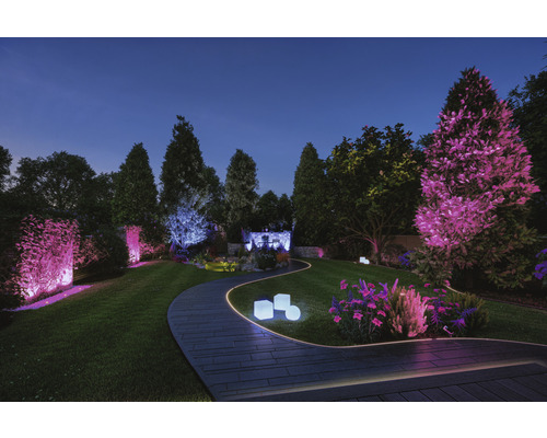 Verlichte tuinpad met diverse lichtbronnen en planten