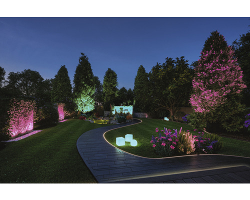 Verlichte tuin met pad, bomen en decoratieve verlichting in de schemering.