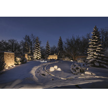 Wintertuin met sneeuw en tuinverlichting