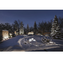 Winterlandschap met besneeuwde bomen en verlicht tuinpad in de nacht