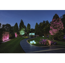 Verlichte tuin met pad, bomen en decoratieve tuinverlichting in de schemering