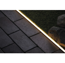 Tuinpad met bestrating, gazon en ledverlichting