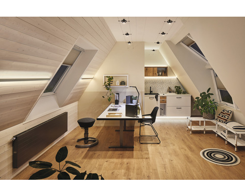 Zolderkamer met dakramen, werkplek en kitchenette