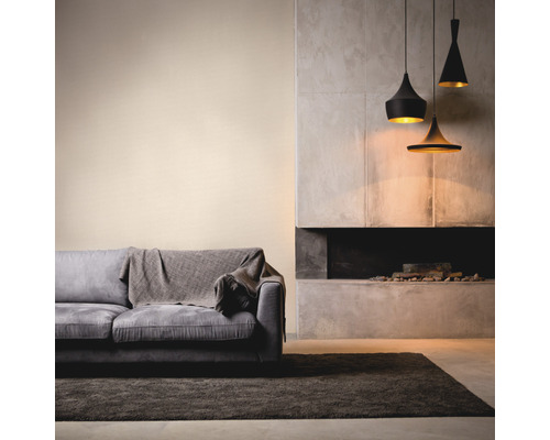 Woonkamer met bank, tapijt, open haard en hanglampen