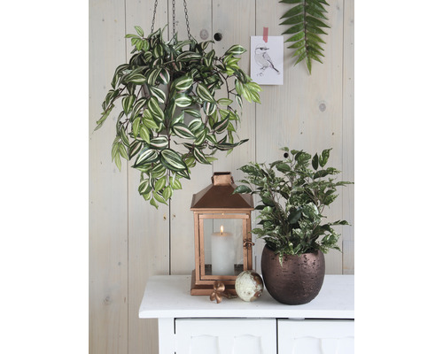 Decoratief arrangement met hangplant, potplant en windlicht op een witte kast