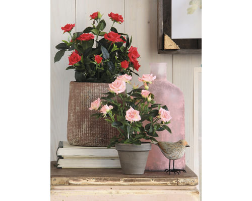 Decoratieve scène met rozen in potten op een tafel